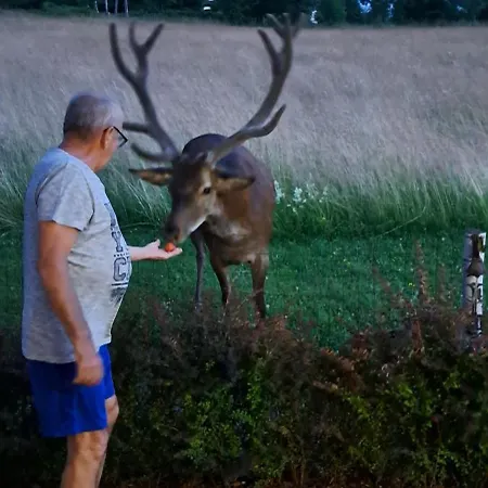 Karkonosz 4 Domek alpejski Szklarska Poręba